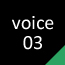 Voice3