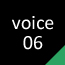 Voice6